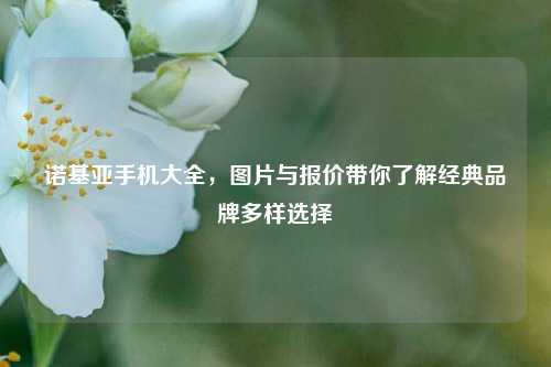 诺基亚手机大全,图片与报价带你了解经典品牌多样选择