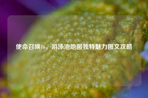 使命召唤16,游泳池地图独特魅力图文攻略