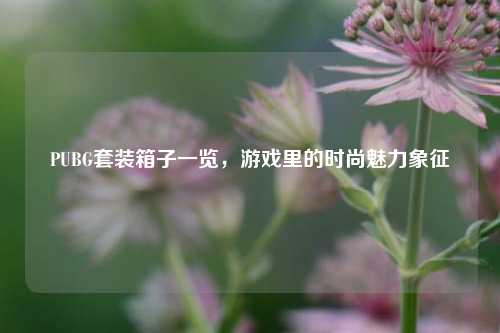 PUBG套装箱子一览,游戏里的时尚魅力象征