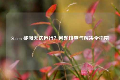 Steam 截图无法运行?问题排查与解决全指南