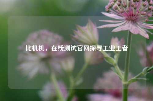 比机机,在线测试官网探寻工业王者