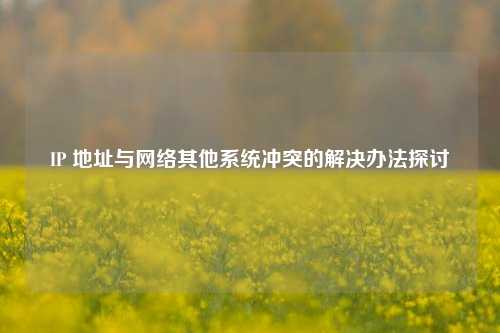 IP 地址与 其他系统冲突的解决办法探讨